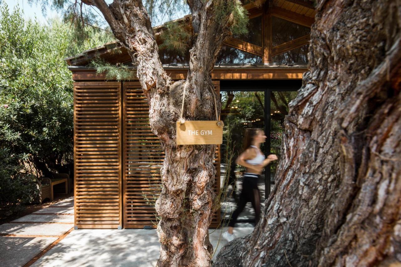 Cretan Malia Park A Member Of Design Hotels Luaran gambar
